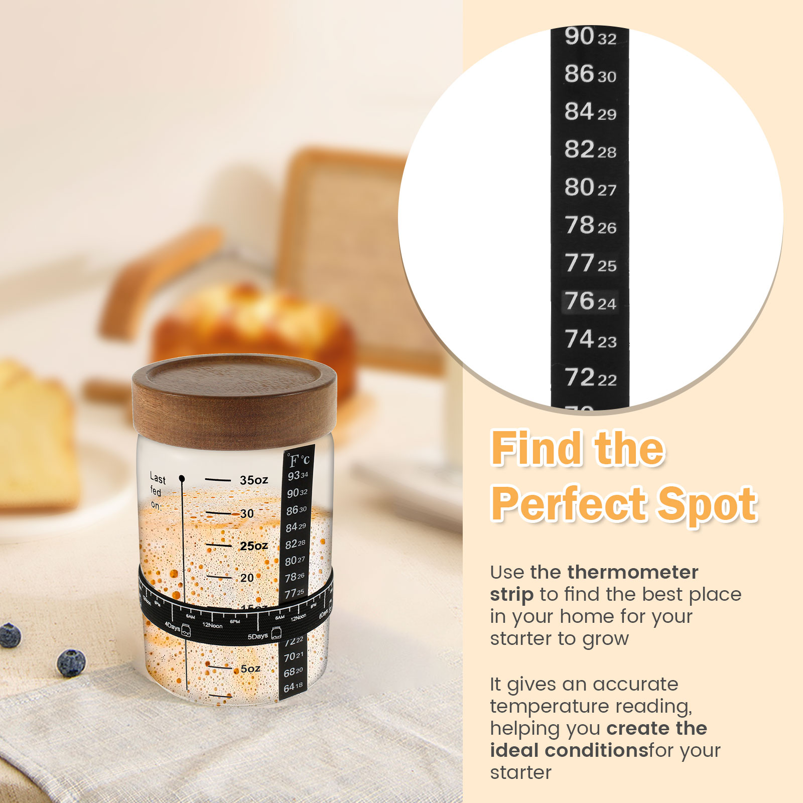 Стартовая банка sourтеста, 100 – обзор и цена Food Storage Kits