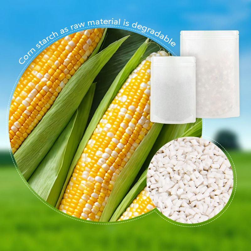 Индивидуальные разлагаемые пак – обзор и цена Food Storage Of Plants