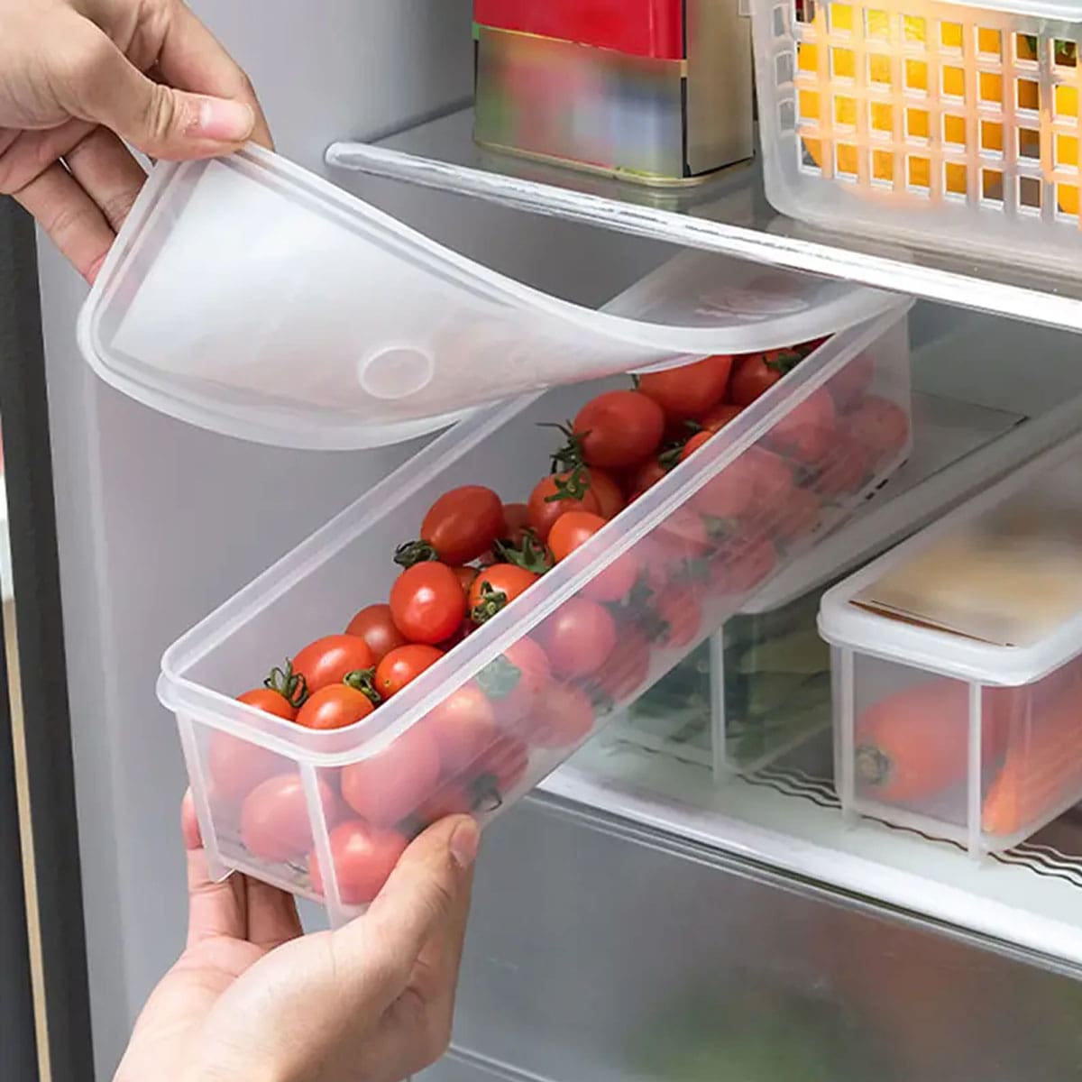 1 пластиковый прозрачный конте – обзор и цена Food Storage Underground