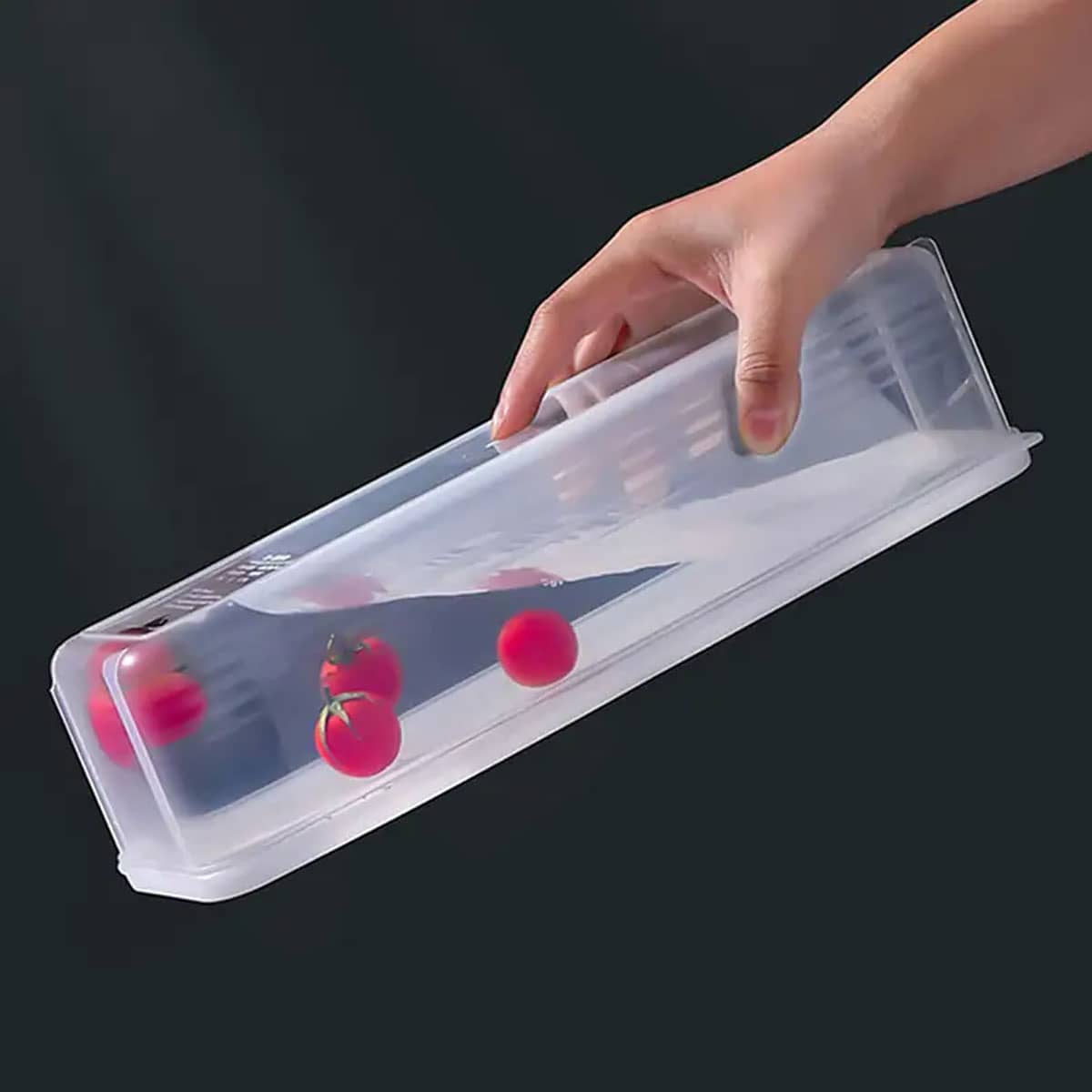 1 пластиковый прозрачный конте – обзор и цена Food Storage Underground